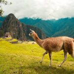 Tour Cusco y Machu Picchu 5 días 4 noches